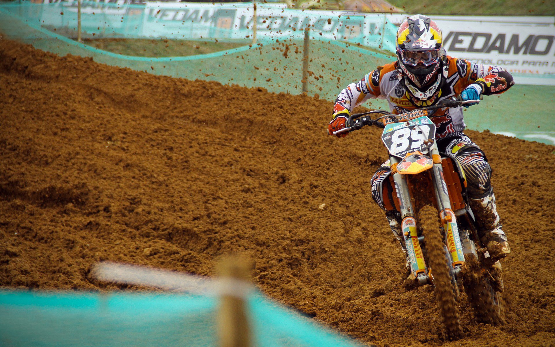 中国游泳队闪耀世锦赛,斩获多枚金牌创历史佳绩