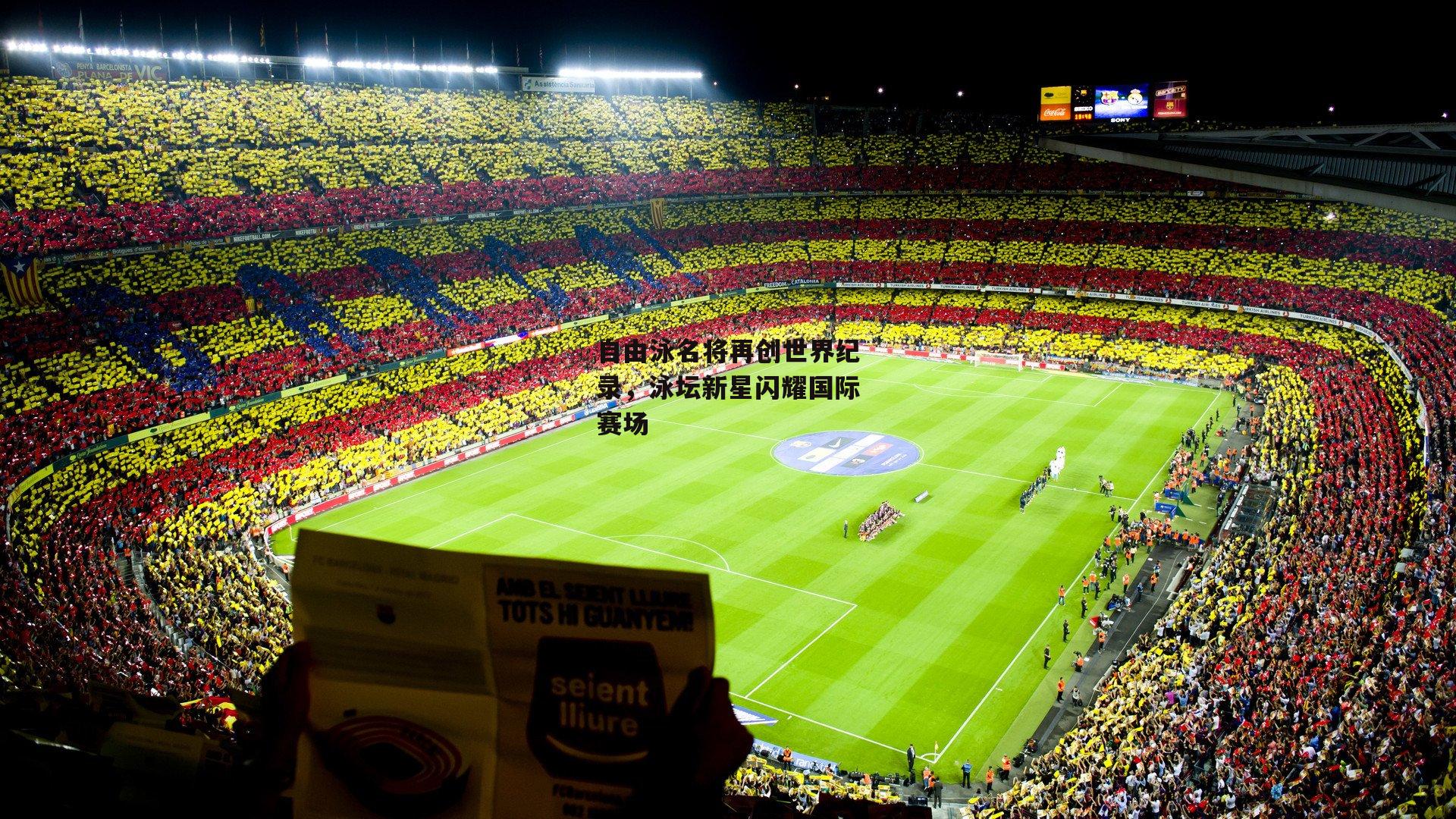 自由泳名将再创世界纪录,泳坛新星闪耀国际赛场